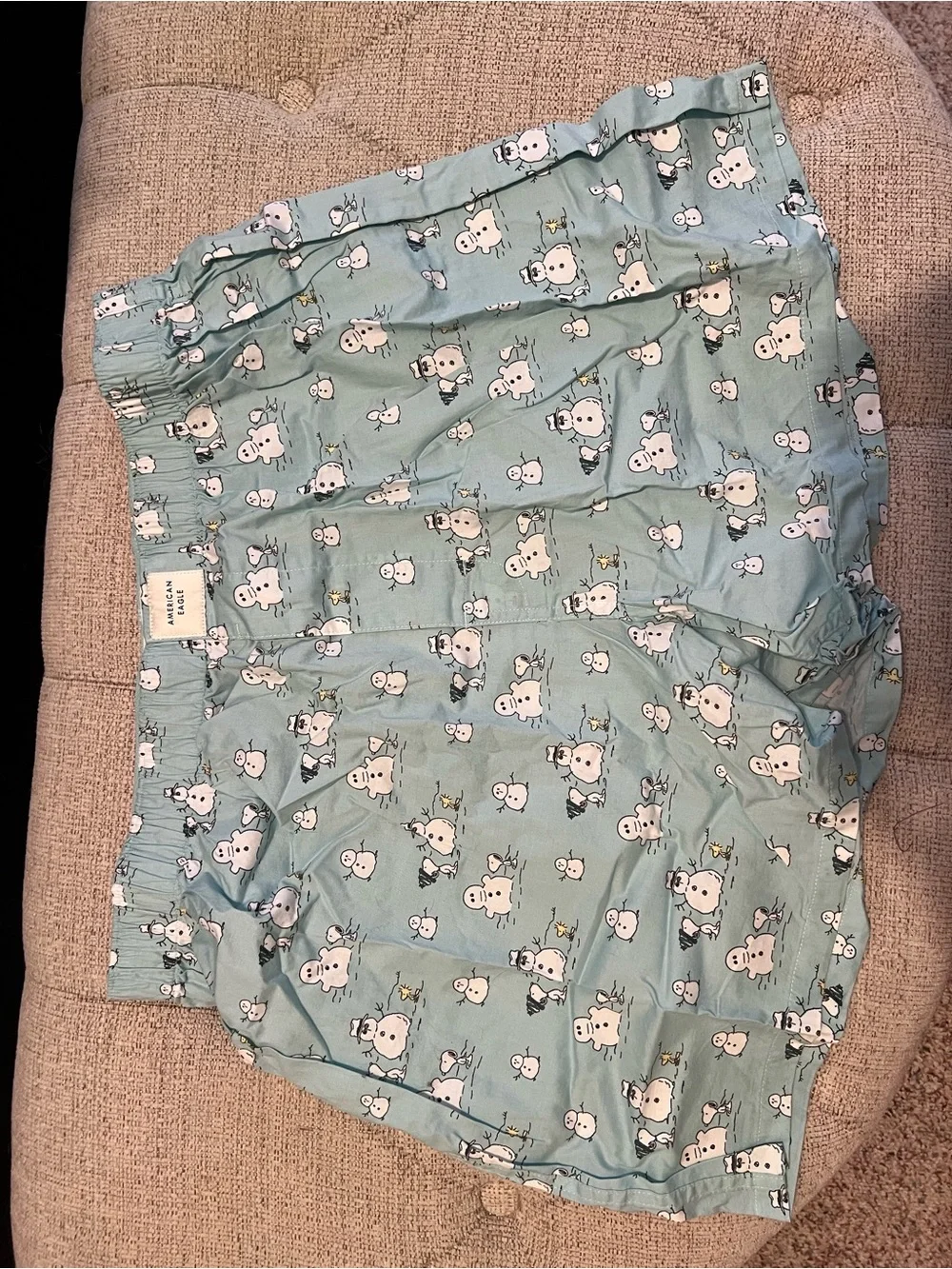 Snoopy American Eagle Men’s Boxers - Set of 3 plus AE Striped Pair Bundle
